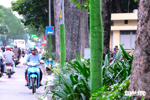 'Trồng cỏ' trên cột đèn, cột điện để trị dán quảng cáo sai quy định - Ảnh 4. Loạt cột đèn trên đường Hồng Bàng (quận 5) được quấn thảm cỏ nhân tạo xung quanh. Theo người dân, màu xanh của thảm cỏ nhân tạo khá hài hòa với cây cỏ xung quanh, tạo nên giá trị về mặt thẩm mỹ