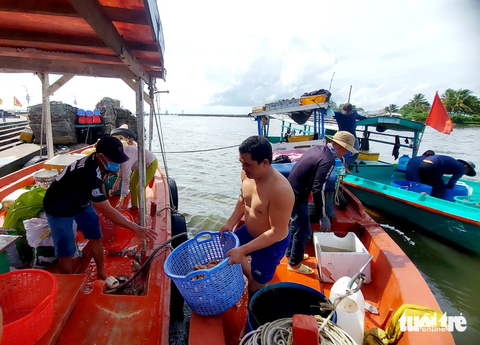 Nhộn nhịp mùa ốc tỏi ở Phú Quốc - Ảnh 5. 2h - 4h chiều mỗi ngày, ở cửa sông Dương Đông (phường Dương Đông, TP Phú Quốc) nhộn nhịp ghe tàu bán ốc tỏi - Ảnh: CHÍ CÔNG