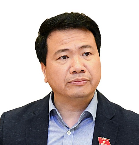 Đấu giá: tăng nguồn thu, tăng minh bạch - Ảnh 2. Đấu giá: tăng nguồn thu, tăng minh bạch - Ảnh 2.