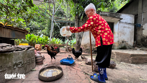 Bà cụ 101 tuổi và ngôi nhà ngập tiếng cười - Ảnh 2. Ngày ngày, cụ vẫn vui vẻ tự ra thăm vườn, chăm đàn gà mái đẻ - Ảnh: YẾN TRINH