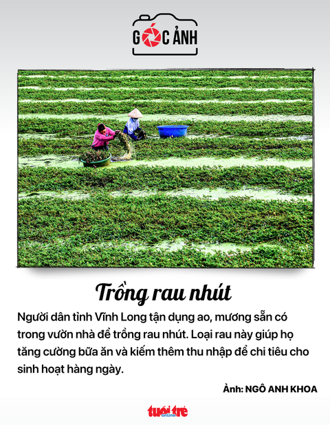 Tin tức sáng 19-9: - Ảnh 3. Tin tức sáng 19-9: - Ảnh 3.