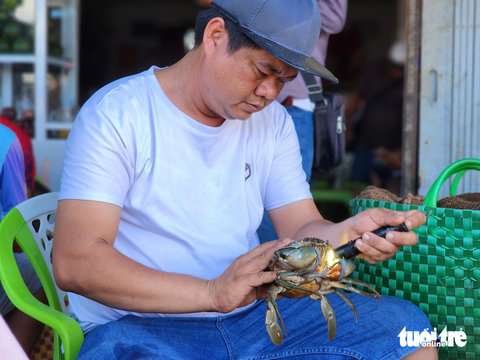 Độc đáo mô hình 'chợ trời đấu giá cua' biển ở Vĩnh Thuận - Ảnh 2. Thương lái đang sử dụng đèn pin soi gạch cua trước khi mua - Ảnh: BỬU ĐẤU