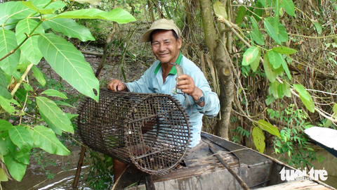 Ngư dân miền Tây đón mùa nước nổi ít bận rộn - Ảnh 3. Trong khi đó, theo ngư dân đánh bắt thủy sản tại huyện Hồng Ngự, nguồn cá tôm giảm theo mực nước, năm nào nước thấp lại thu nhập ít đi - Ảnh: ĐẶNG TUYẾT