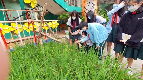 Kiểm tra, đánh giá theo cách mới: Giáo viên và trường gặp khó - Ảnh 1. Học sinh Trường THCS Hà Huy Tập, quận Bình Thạnh, TP.HCM trong một tiết học trải nghiệm. Sau tiết học này, học sinh sẽ thảo luận và thuyết trình, viết bài thu hoạch để lấy điểm kiểm tra - Ảnh: HOÀNG HƯƠNG