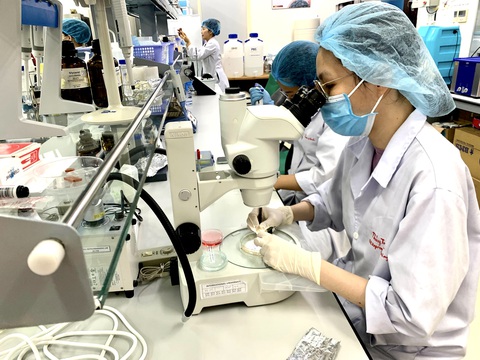 Công bố quốc tế của Việt Nam cao hơn công bố khoa học trong nước - Ảnh 1. Các nghiên cứu viên làm việc tại phòng thí nghiệm Trường đại học Quốc tế (Đại học Quốc gia TP.HCM) - Ảnh: TRẦN HUỲNH