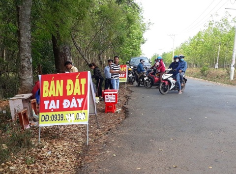 Trước đây từng xảy ra tình trạng dù quy hoạch sân bay chưa được thông qua, các lô đất đang được canh tác trồng cây cao su nhưng giới đầu cơ khắp nơi về “thổi giá” gây náo loạn vùng quê tại khu vực sân bay Técníc Hớn Quản, tỉnh Bình Phước - Ảnh: T.D. Trước đây từng xảy ra tình trạng dù quy hoạch sân bay chưa được thông qua, các lô đất đang canh tác trồng cây cao su nhưng giới đầu cơ khắp nơi về “thổi giá” gây náo loạn vùng quê tại khu vực Hớn Quản, Bình Phước - Ảnh: T.D.