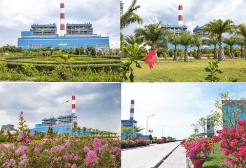 Nhiệt điện Vĩnh Tân 2 đạt tổng sản lượng điện tích lũy 60 tỷ kwh - Ảnh 4. Nhà máy được bao quanh bởi cảnh quan xanh, sạch, đẹp