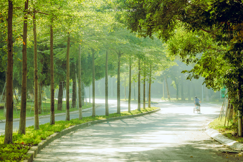 Bác sĩ kê thiên nhiên vào toa thuốc chữa bệnh - Ảnh 2. Khu đô thị Ecopark có mật độ 120 cây xanh/người