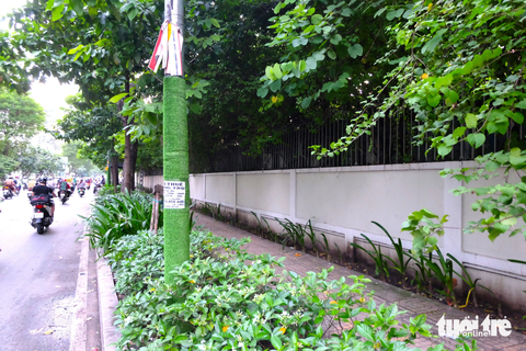 TP.HCM tháo cỏ nhựa quấn cột điện để đánh giá lại hiệu quả công trình - Ảnh 1. Cột điện dù được quấn cỏ nhựa nhưng quảng cáo, rao vặt vẫn "không tha" - Ảnh: PHƯƠNG NHI
