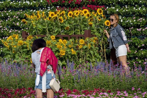 Du khách tham qua, chụp ảnh tại Bangkok, Thái Lan - Ảnh: AFP Du khách tham quan, chụp ảnh tại Bangkok, Thái Lan - Ảnh: AFP