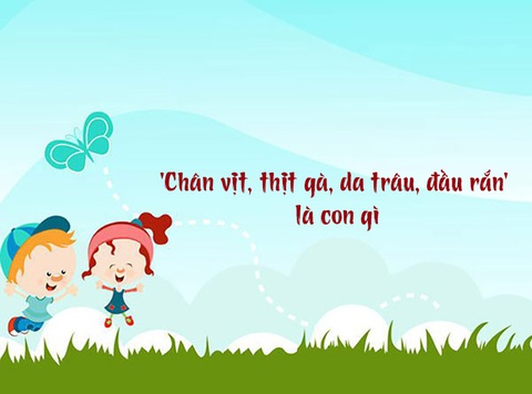 Câu đố hack não: 'Chân vịt, thịt gà, da trâu, đầu rắn' là con gì? - Ảnh 1. Câu đố hack não: 'Chân vịt, thịt gà, da trâu, đầu rắn' là con gì? - Ảnh 1.