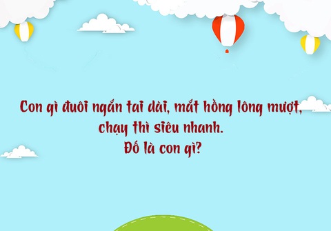 Câu đố hack não: 'Chân vịt, thịt gà, da trâu, đầu rắn' là con gì? - Ảnh 4. Câu đố hack não: 'Chân vịt, thịt gà, da trâu, đầu rắn' là con gì? - Ảnh 4.