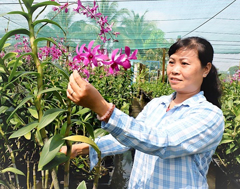 Nông dân thời công nghệ - Ảnh 4. Chị Trần Thị Ngọc Thảo - Ảnh: K.ANH