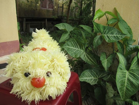 'Cười sảng' với đội hình chó bưởi rước Trung Thu xấu không thể tả - Ảnh 4. Râu ông này cắm cằm bà kia...