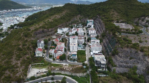 Dự án
