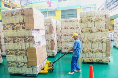 Kinh tế TP.HCM cần gì để xoay chuyển? - Ảnh 5. Đưa hàng vào container để xuất khẩu của một công ty thực phẩm trong khu chế xuất Tân Thuận, quận 7, TP.HCM - Ảnh: QUANG ĐỊNH