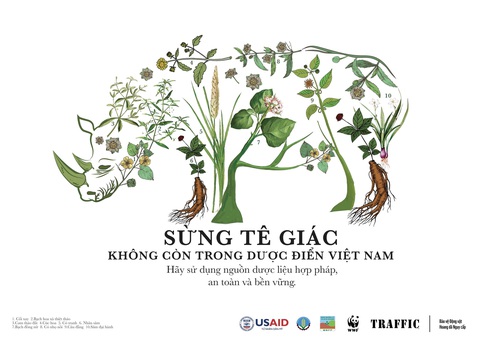 Nhiều người vẫn tin sừng tê giác, vảy tê tê có thể chữa bách bệnh - Ảnh 2. Hình ảnh truyền thông giảm nhu cầu tiêu thụ sản phẩm từ động vật hoang dã trái pháp luật - Ảnh: BTC