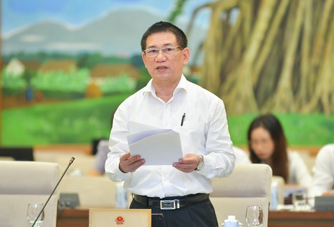 Bộ trưởng Hồ Đức Phớc: Việt Nam cần khẳng định áp dụng thuế tối thiểu toàn cầu - Ảnh 1. Bộ trưởng Bộ Tài chính Hồ Đức Phớc - Ảnh: GIA HÂN
