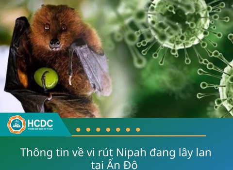 Vi rút Nipah bùng phát Ấn Độ, TP.HCM tăng cường giám sát người nhập cảnh từ vùng dịch - Ảnh 1. Trung tâm Kiểm soát bệnh tật TP.HCM lưu ý hành khách đi về từ vùng dịch, nếu có các triệu chứng nghi mắc, cần liên hệ ngay với cơ sở y tế để được tư vấn và điều trị kịp thời - Ảnh: HCDC