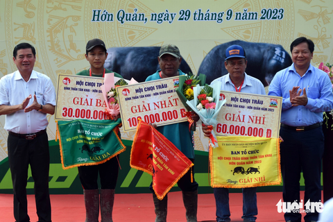 26 ‘ông trâu’ tranh tài tại Hội chọi trâu Hớn Quản 2023 - Ảnh 11. Sau gần 20 trận đấu nảy lửa, ban tổ chức chọn được 6 "ông trâu" xuất sắc nhất ở hai cấp để trao giải thưởng cho chủ trâu.