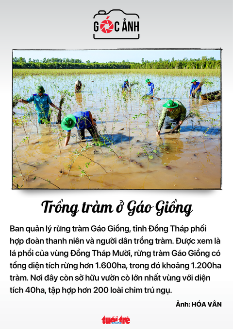 Tin tức sáng 30-9: TP.HCM đối mặt triều cường vượt báo động 3 - Ảnh 8. Tin tức sáng 30-9: TP.HCM đối mặt triều cường vượt báo động 3 - Ảnh 8.
