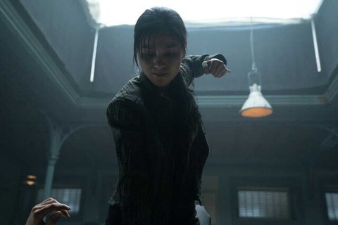 Johnny Trí Nguyễn làm cameo trong phim tiền truyện John Wick - Ảnh 3. Nhung Kate được Johnny Trí Nguyễn tư vấn kinh nghiệm quay phim ở nước ngoài - Ảnh: Variety
