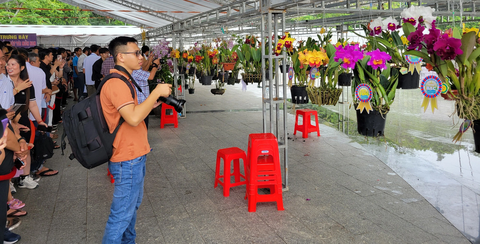 Tổ chức nhiều sự kiện hấp dẫn, khách đến Cần Thơ vẫn giảm - Ảnh 1. Khách đến tham quan hội thi và triển lãm hoa lan tổ chức tại TP Cần Thơ trong những ngày nghỉ lễ Quốc khánh 2-9 - Ảnh: CHÍ QUỐC