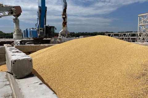 Ngũ cốc trên bến tàu ở cảng Izmail, vùng Odessa, ngày 22-7-2023 - Ảnh: AFP Ngũ cốc trên bến tàu ở cảng Izmail, vùng Odessa, ngày 22-7-2023 - Ảnh: AFP