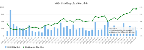 Loạt công ty chứng khoán ‘ôm’ nhiều trái phiếu doanh nghiệp, VnDirect hơn 10.000 tỉ đồng - Ảnh 5. Diễn giá cổ phiếu VND - Dữ liệu: Vietstock