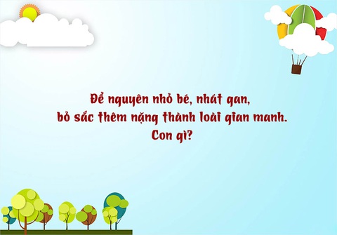 Câu đố hack não: Cái gì càng nhiều thì càng khó thấy? - Ảnh 10. Câu đố hack não: Cái gì càng nhiều thì càng khó thấy? - Ảnh 10.