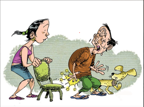 Cách ăn tránh mắc và hạn chế bệnh trĩ phát triển - Ảnh 1. Ảnh minh họa