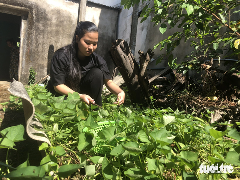 Vân phụ giúp ngoại công việc nhà - Ảnh: ĐOÀN CƯỜNG Vân phụ giúp ngoại công việc nhà - Ảnh: ĐOÀN CƯỜNG