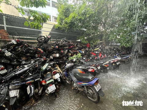 Xử lý thế nào khi nhận giữ xe nhưng không ai đến lấy? - Ảnh 2. Hàng trăm xe bị "bỏ quên" chất đống, phơi nắng phơi mưa tại bến xe Miền Đông - Ảnh: CHÂU TUẤN