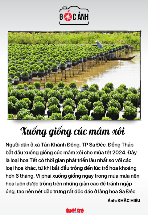 Tin tức sáng 10-9: - Ảnh 6. Tin tức sáng 10-9: - Ảnh 6.