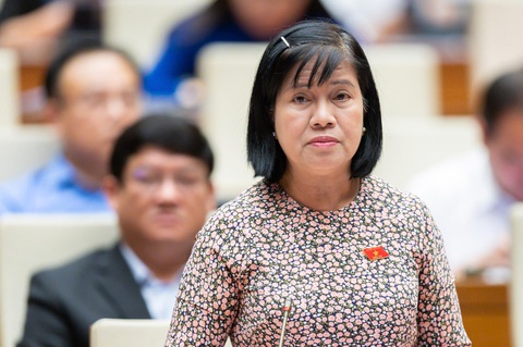 Đại biểu NGUYỄN THỊ LỆ THỦY (phó chủ nhiệm Ủy ban Khoa học, Công nghệ và Môi trường của Quốc hội) Đại biểu NGUYỄN THỊ LỆ THỦY (phó chủ nhiệm Ủy ban Khoa học, Công nghệ và Môi trường của Quốc hội)
