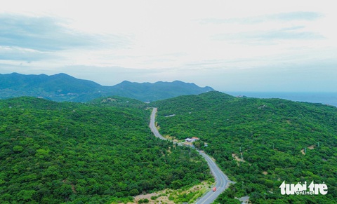 Mê mẩn vẻ đẹp hoang sơ trong Vườn quốc gia Núi Chúa- Ảnh 2. Đường đến Vườn quốc gia Núi Chúa đẹp như dải lụa, khung cảnh nguyên sơ xanh mát của rừng, của biển - Ảnh: DUY NGỌC