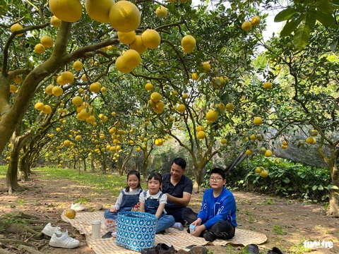 Không gian xanh mát tại đây cũng phù hợp cho những chuyến picnic nhỏ của các gia đình - Ảnh: NGUYỄN HIỀN Không gian xanh mát tại đây cũng phù hợp cho những chuyến picnic nhỏ của các gia đình - Ảnh: NGUYỄN HIỀN