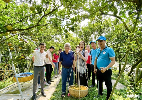 Hàng trăm ngàn du khách về tham quan làng hoa Sa Đéc dịp năm mới- Ảnh 4. Nhiều vườn quýt hồng Lai Vung đã mở cửa đón khách tham quan nằm trên trục đường kết nối với TP Sa Đéc - Ảnh: ĐẶNG TUYẾT