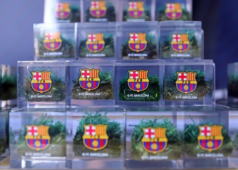CLB Barcelona bán cỏ kiếm tiền cải tạo sân Nou Camp- Ảnh 1. CLB Barcelona trưng bày từng hộp cỏ để bán - Ảnh: THE SUN