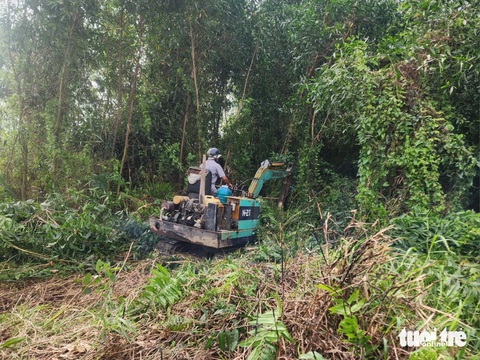 60 giờ khoanh vùng 50ha ở Long An truy bắt thủ phạm giết người ở Hóc Môn- Ảnh 9. Lực lượng chức năng huy động một số xe múc tham gia công tác tìm kiếm nghi phạm trong khu vực khoanh vùng - Ảnh: NGỌC KHẢI