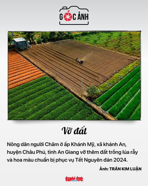 Tin tức sáng 11-1: TP.HCM cần hơn 70.000 lao động Tết; FLC chậm trả 1.100 tỉ đồng trái phiếu- Ảnh 7. Tin tức sáng 11-1: TP.HCM cần hơn 70.000 lao động Tết; FLC chậm trả 1.100 tỉ đồng trái phiếu- Ảnh 7.
