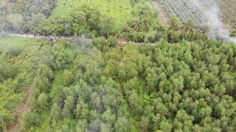 60 giờ khoanh vùng 50ha ở Long An truy bắt thủ phạm giết người ở Hóc Môn- Ảnh 4. Bên trong khu vực khoanh vùng rộng khoảng 50ha có nhiều cây cối um tùm, nhiều bụi rậm... - Ảnh: Công an cung cấp