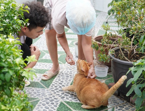 Ngộ nghĩnh, nghĩa tình thú cưng - Kỳ cuối: Giúp đỡ Catsky - 'đảo mèo' trên mái thượng- Ảnh 4. Minh Đức và Lão Bà Bà cùng những chú mèo hoang được nhặt về chăm sóc - Ảnh: NVCC