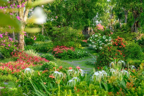 Khám phá Tết ở vùng đất Blue Zones đầu tiên Việt Nam- Ảnh 3. Một góc dự án Ecovillage Saigon River với 200 loại hoa nở quanh năm
