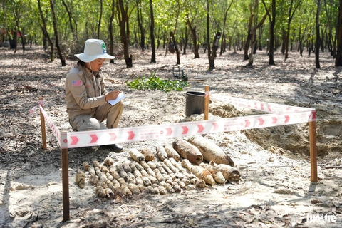Phát hiện hầm đạn pháo giữa rừng tràm ở Quảng Trị- Ảnh 2. Nhân viên đội rà phá ghi chép số liệu vật nổ được tìm thấy - Ảnh: Ngô Xuân Hiền/NPA-RENEW