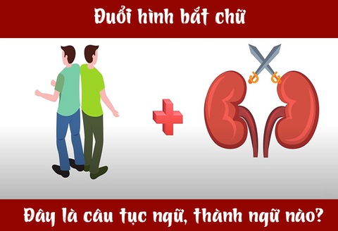 IQ cao có đoán được đây là câu tục ngữ, thành ngữ gì? (P29)- Ảnh 1. IQ cao có đoán được đây là câu tục ngữ, thành ngữ gì? (P29)- Ảnh 1.