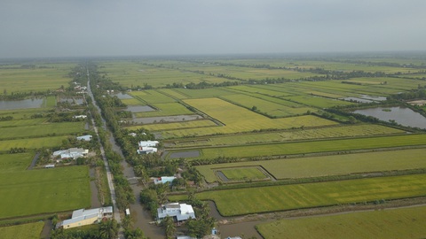 Nước mặn xâm nhập sâu vào đất liền hơn 50km- Ảnh 1. Bạc Liêu đề nghị đơn vị vận hành cống âu thuyền Ninh Quới hỗ trợ vận hành cống, không cho nước mặn xâm nhập qua Ngã Năm (Sóc Trăng). Trong ảnh: Vùng sản xuất lúa tôm của huyện Hồng Dân - Ảnh: CHÍ QUỐC