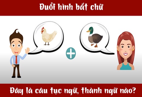 IQ cao có đoán được đây là câu tục ngữ, thành ngữ gì? (P31)- Ảnh 3. IQ cao có đoán được đây là câu tục ngữ, thành ngữ gì? (P31)- Ảnh 3.