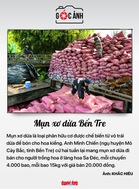 Mụn xơ dừa Bến Tre - Ảnh: KHẮC HIẾU Mụn xơ dừa Bến Tre - Ảnh: KHẮC HIẾU