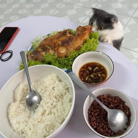 Ảnh vui 12-1: Mẹ 'tiền đình' khi xem tranh chân dung con tặng- Ảnh 6. Em hứa chỉ nhìn thôi.
